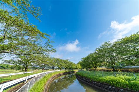 水路 風水|水路